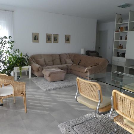 Grosszuegige,Zetrumsnahe Wohnung Dresden Eksteriør bilde