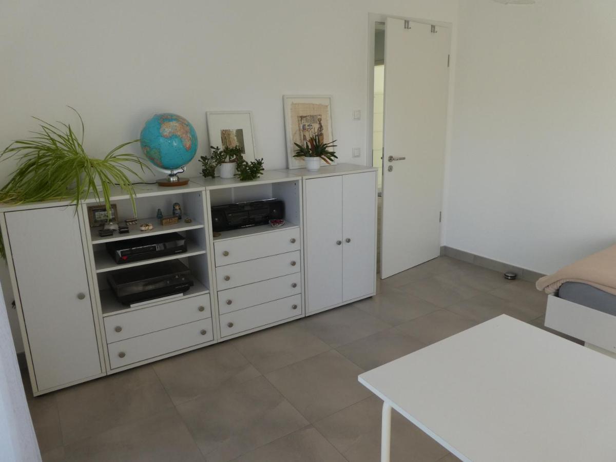 Grosszuegige,Zetrumsnahe Wohnung Dresden Eksteriør bilde